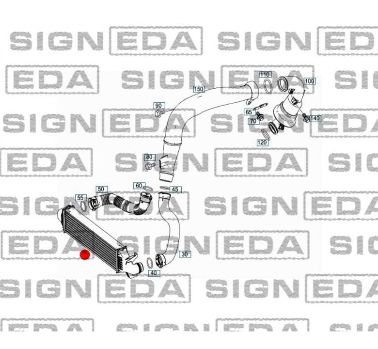 Купить Signeda RI96334 по низкой цене в Украине!