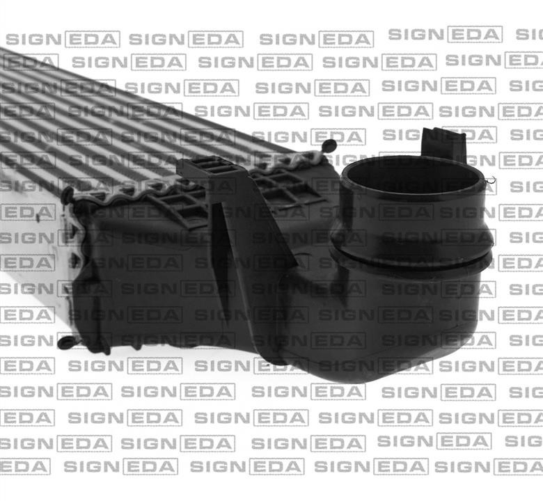 Купить Signeda RI96334 – отличная цена на EXIST.UA!