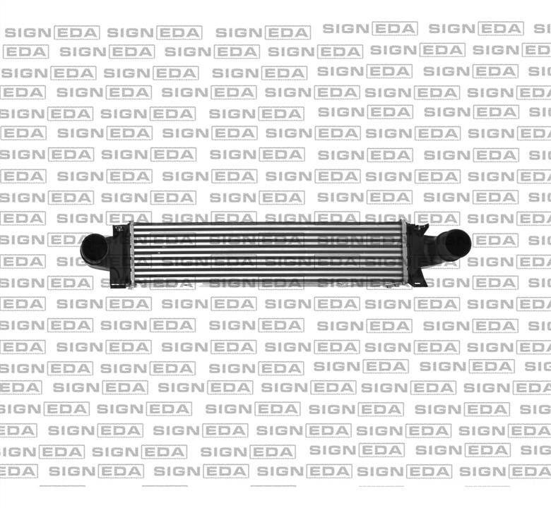 RI96346 Signeda Интеркулер