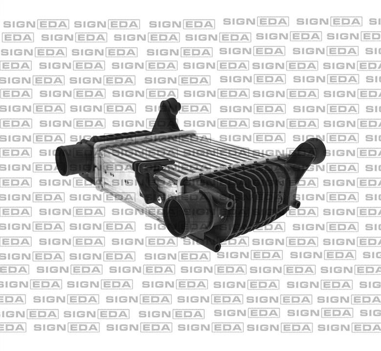Купити Signeda RI96396 за низькою ціною в Україні!