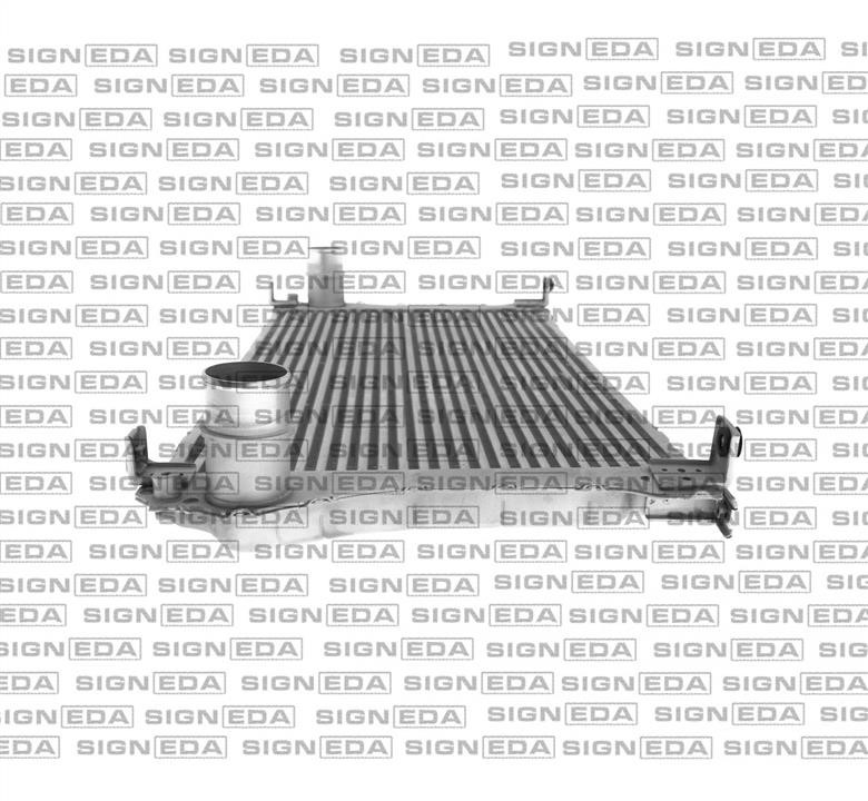 Купити Signeda RI96408 – суперціна на EXIST.UA!