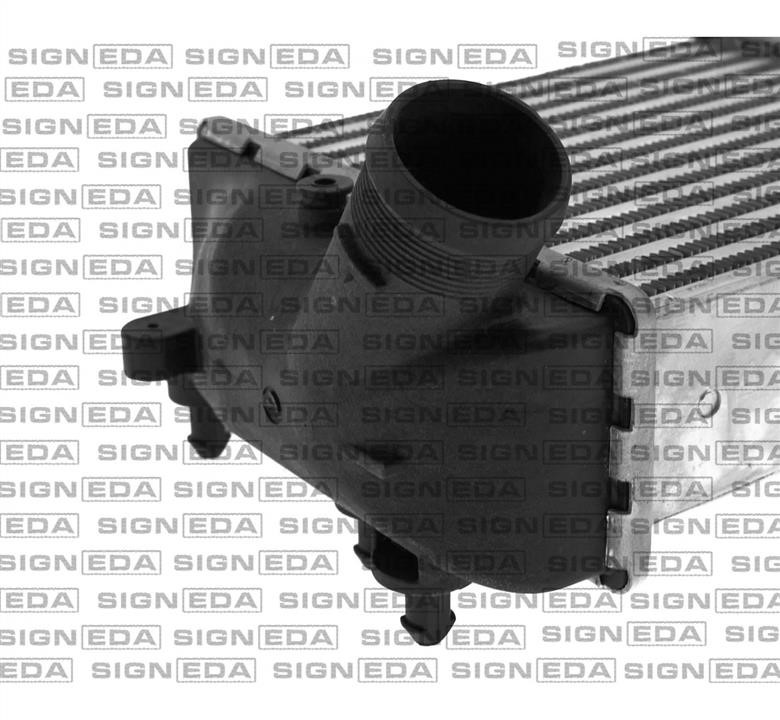 Купить Signeda RI96417 по низкой цене в Украине!