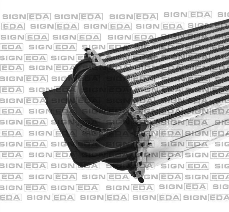 Купить Signeda RI96441 по низкой цене в Украине!