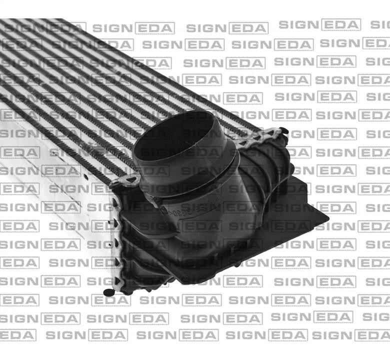Купить Signeda RI96441 – отличная цена на EXIST.UA!