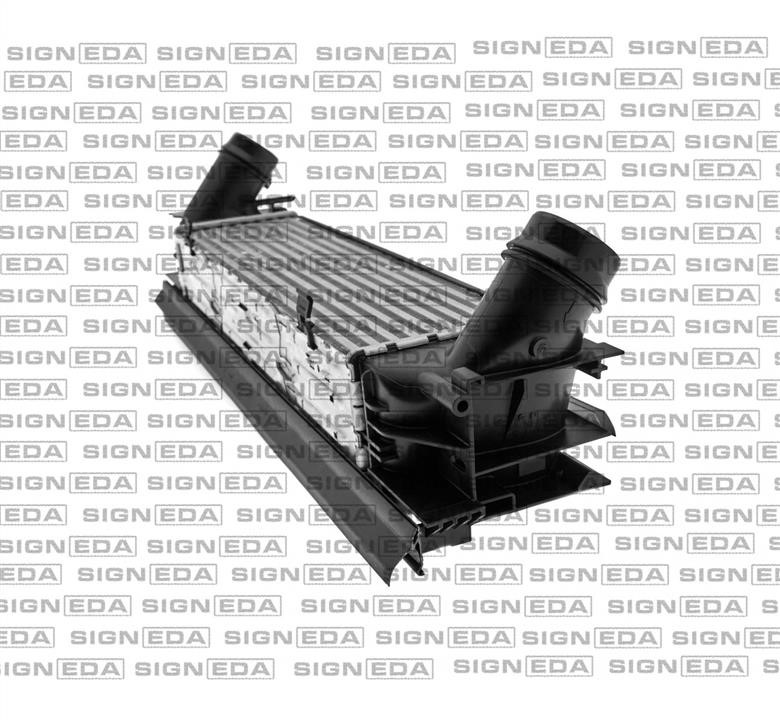 Купити Signeda RI96450Q – суперціна на EXIST.UA!