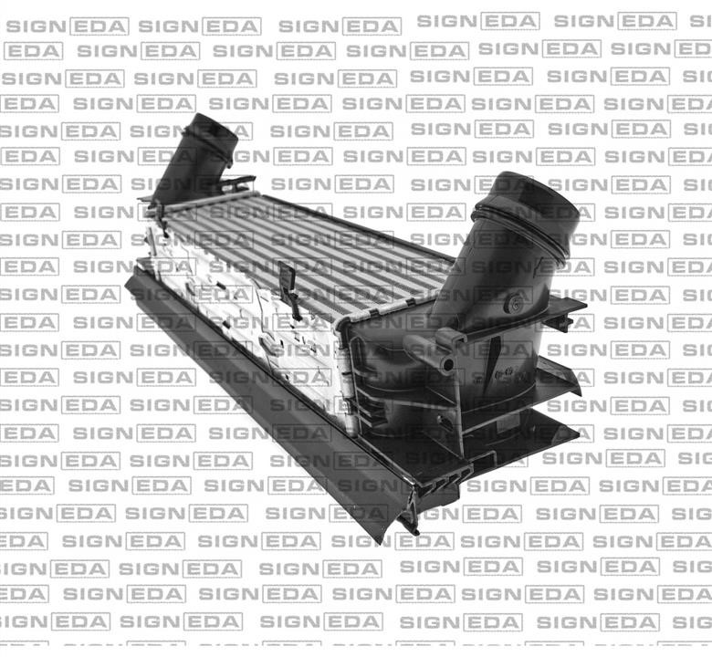 Купить Signeda RI96451Q – отличная цена на EXIST.UA!