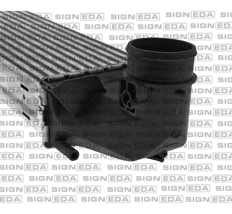 Купить Signeda RI96476 – отличная цена на EXIST.UA!