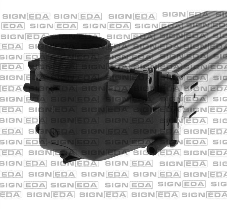 Купить Signeda RI96476 по низкой цене в Украине!