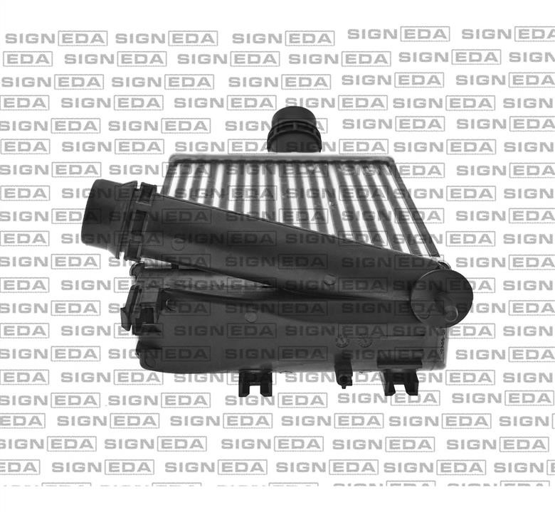 Купити Signeda RI96529 за низькою ціною в Україні!