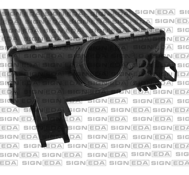 Купити Signeda RI96529 – суперціна на EXIST.UA!