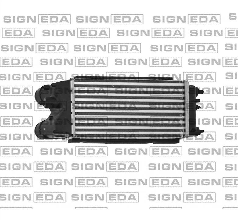Купити Signeda RI96553 – суперціна на EXIST.UA!