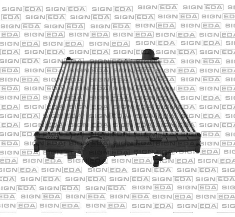 Купити Signeda RI96706 за низькою ціною в Україні!