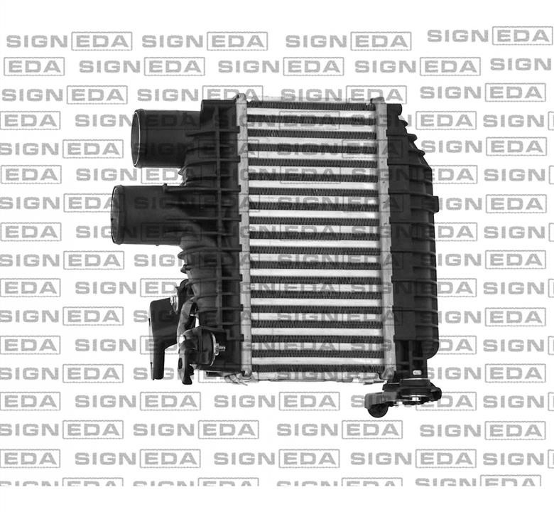 Купити Signeda RI96758 – суперціна на EXIST.UA!