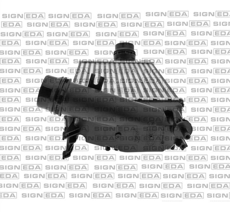 Купити Signeda RI818293 за низькою ціною в Україні!