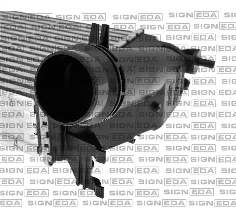 Інтеркулер Signeda RI818293
