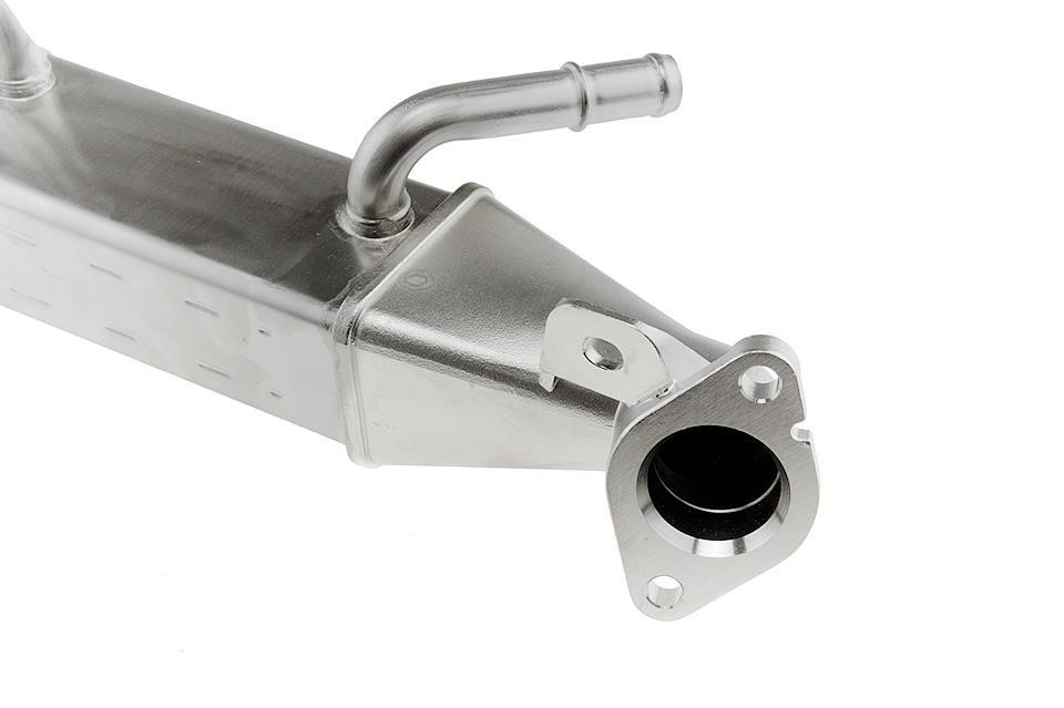 Купить NTY EGR-FR-024A по низкой цене в Украине!