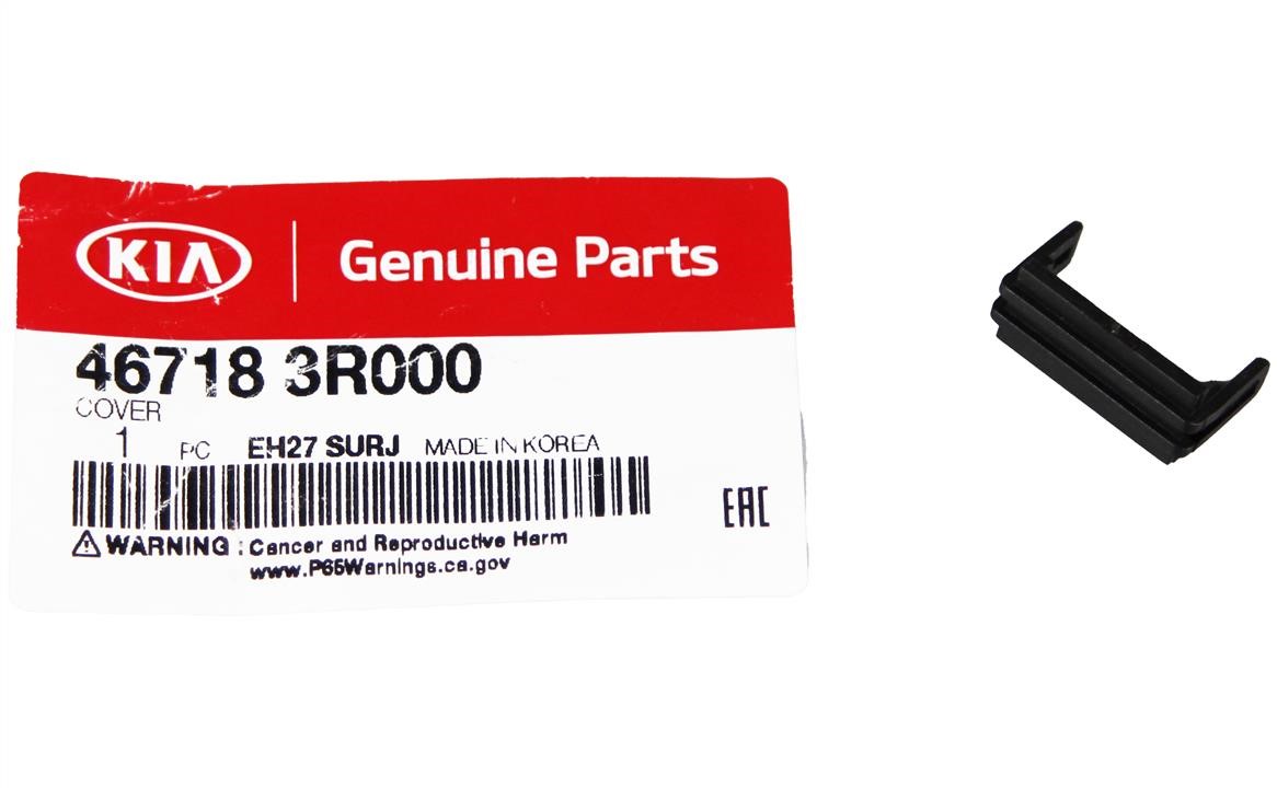 Купити Hyundai/Kia 46718 3R000 за низькою ціною в Україні!