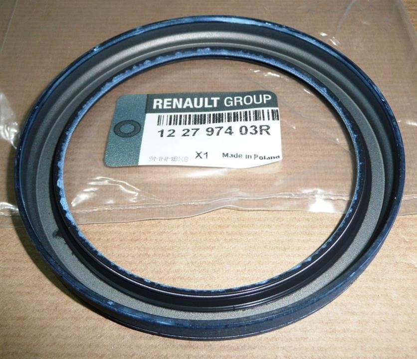 Купить Renault 12 27 974 03R по низкой цене в Украине!