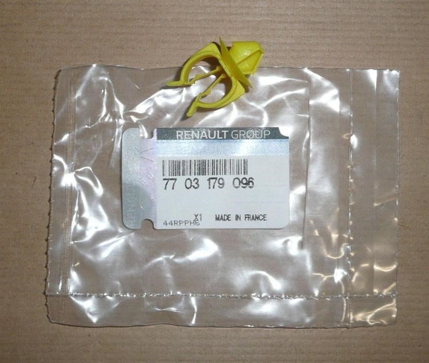 Купить Renault 77 03 179 096 по низкой цене в Украине!
