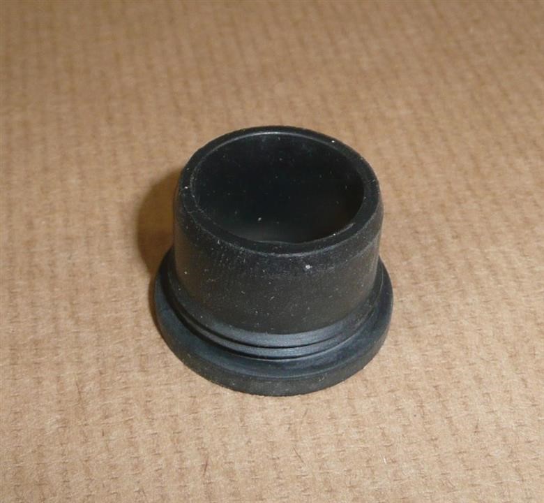 PUMPENDICHTUNG Citroen/Peugeot 6500 AA