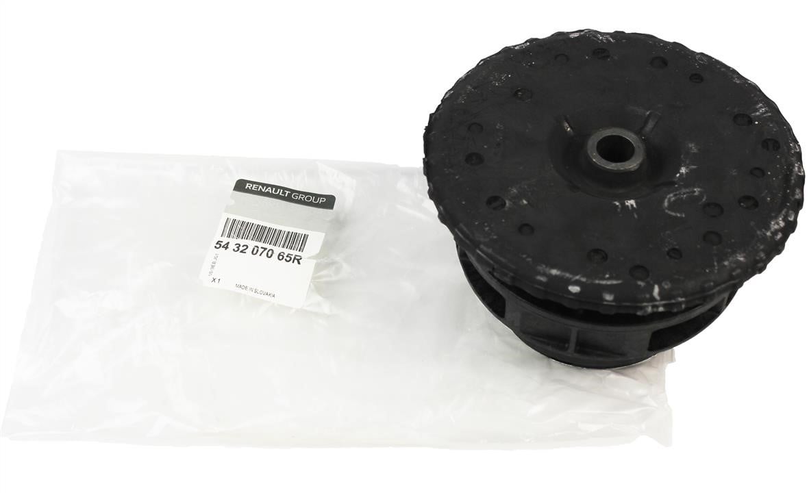 Купить Renault 54 32 070 65R по низкой цене в Украине!