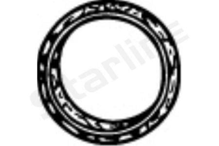 StarLine ST 211-902 Кольцо уплотнительное выхлопной системы ST211902: Отличная цена - Купить в Украине на EXIST.UA! ST211902 StarLine Кольцо уплотнительное выхлопной системы