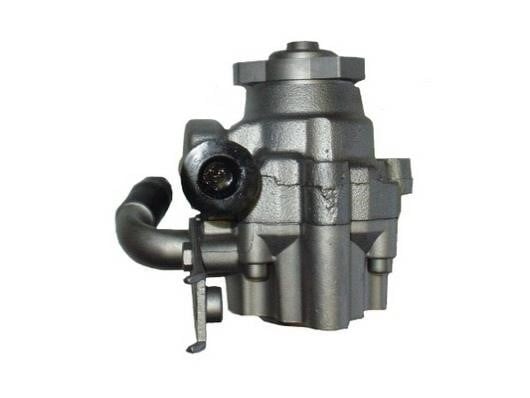 Насос гидроусилителя руля GKN-Spidan 53508