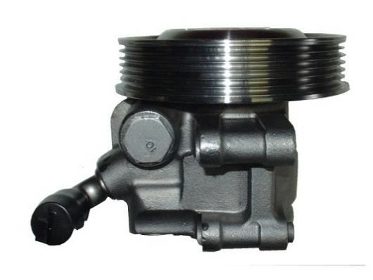 Насос гидроусилителя руля GKN-Spidan 53603