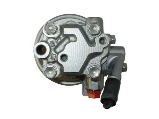 Насос гідропідсилювача керма GKN-Spidan 53609