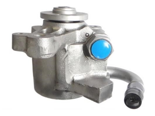 Насос гідропідсилювача керма GKN-Spidan 53580
