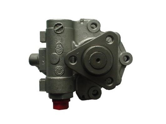 Насос гидроусилителя руля GKN-Spidan 53956