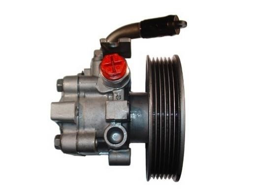 Насос гідропідсилювача керма GKN-Spidan 54499