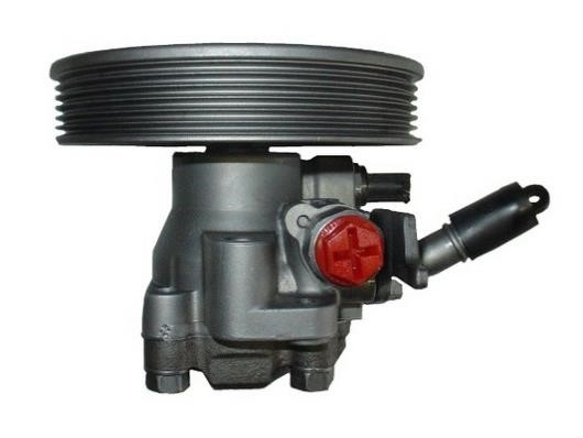 Насос гідропідсилювача керма GKN-Spidan 54436