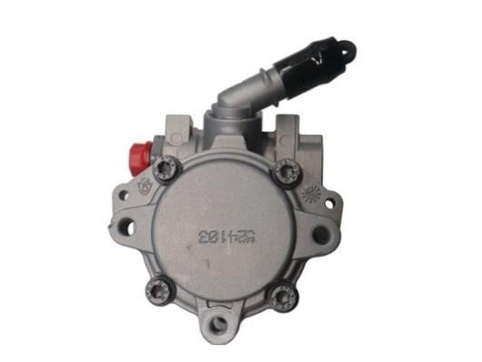 Насос гідропідсилювача керма GKN-Spidan 54791