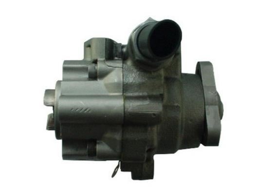 Насос гидроусилителя руля GKN-Spidan 54496