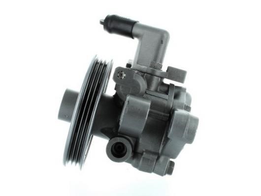 Насос гідропідсилювача керма GKN-Spidan 54951