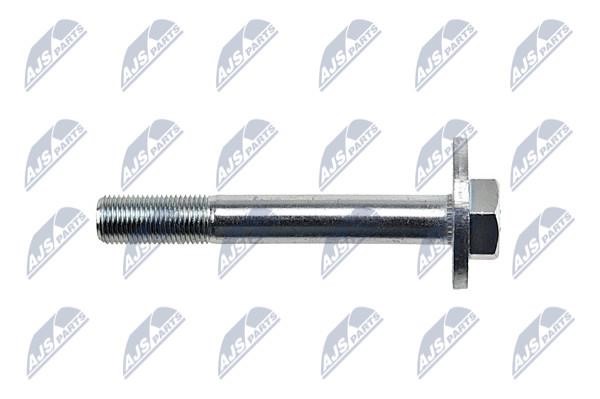 Болт эксцентриковый NTY ZWD-TY-067S