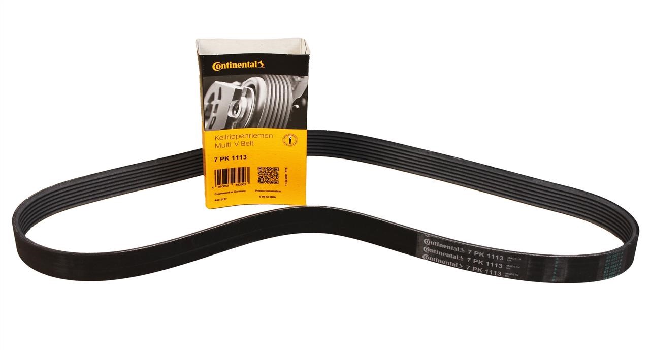 Купить Contitech 7PK1113 по низкой цене в Украине!