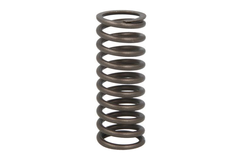 4W2472 IPD Parts Пружина клапана