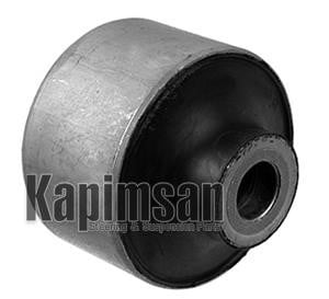 053200356 Kapimsan Сайлентблок важеля