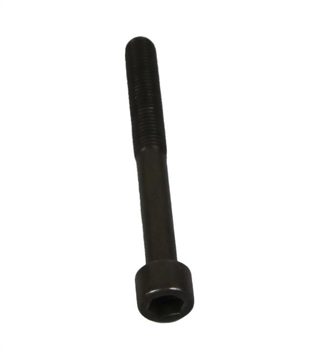 Mazda ZL01-10-135 Болт головки блока цилиндров (ГБЦ) ZL0110135: Отличная цена - Купить в Украине на EXIST.UA! ZL0110135 Mazda Болт головки блока цилиндров (ГБЦ)
