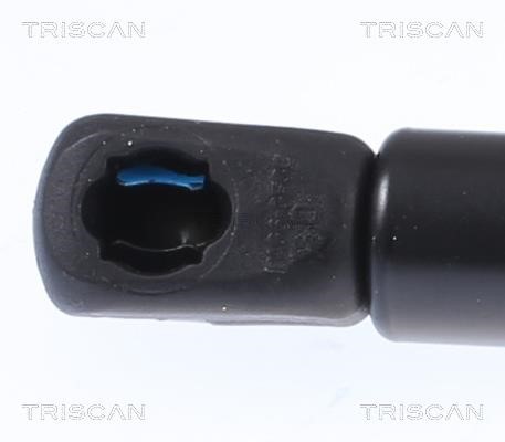 Амортизатор багажника Triscan 8710 18244