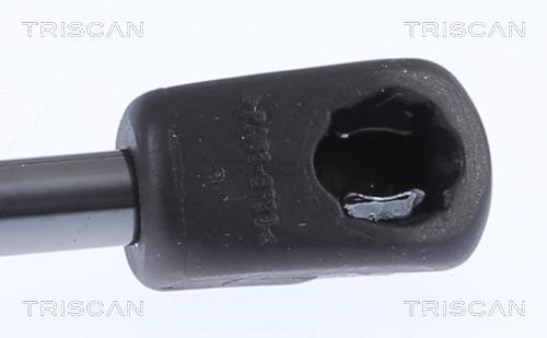 Купить Triscan 871018244 – отличная цена на EXIST.UA!