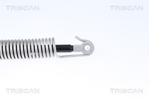 Амортизатор багажника Triscan 8710 112014