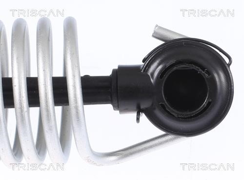 Амортизатор багажника Triscan 8710 112015