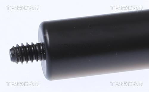 Купити Triscan 8710 23134 за низькою ціною в Україні!