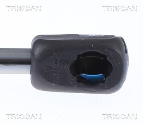 Купити Triscan 8710 81101 за низькою ціною в Україні!