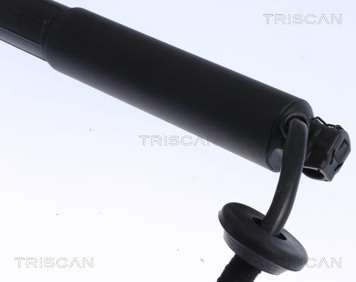 Купити Triscan 8710 27301 за низькою ціною в Україні!