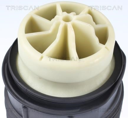 Пневмоподушка Triscan 8720 23201