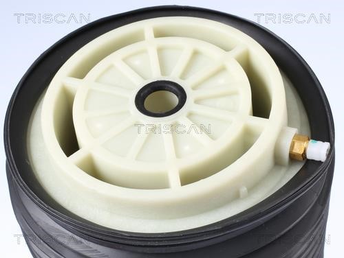 Купить Triscan 8720 23202 по низкой цене в Украине!